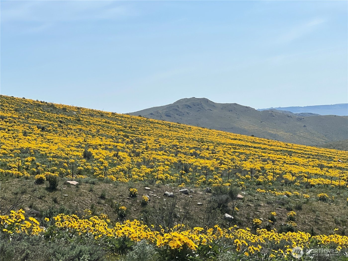 0 Lot 4 High Ranch Rd. , Methow, WA 98834