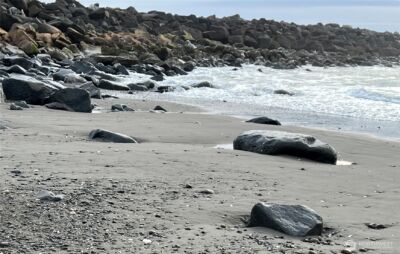 878 Mount Olympus Avenue SE, Ocean Shores, WA 98569 - Photo 37