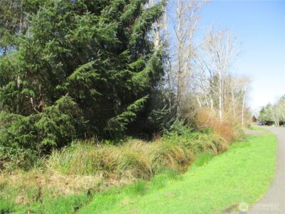 301 Olympic View , Ocean Shores, WA 98569 - Photo 3