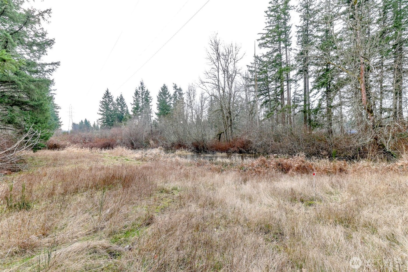 25414 48th Avenue E, Graham, WA 98338