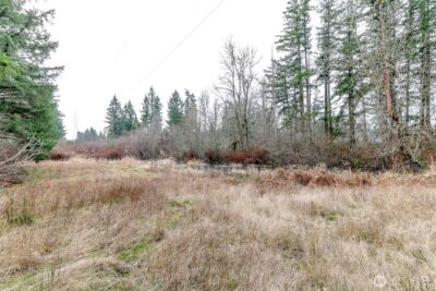 25414 48th Avenue E, Graham, WA 98338 - Photo 11