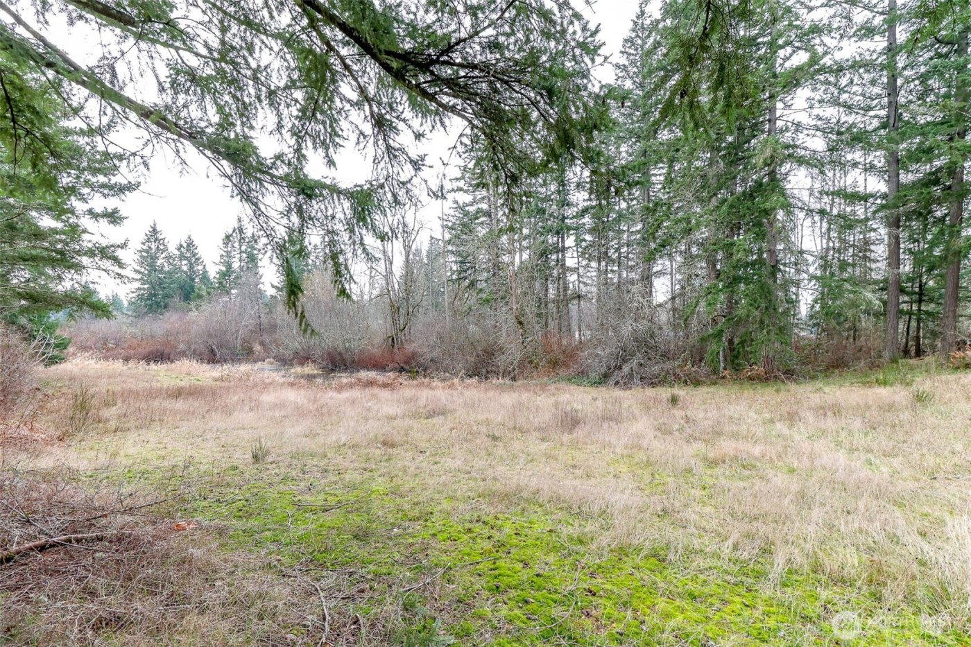 25414 48th Avenue E, Graham, WA 98338