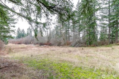 25414 48th Avenue E, Graham, WA 98338 - Photo 13