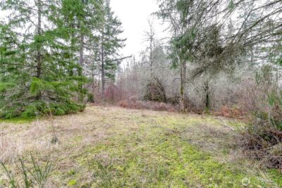 25414 48th Avenue E, Graham, WA 98338 - Photo 14