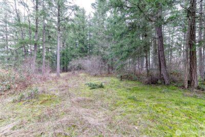 25414 48th Avenue E, Graham, WA 98338 - Photo 15