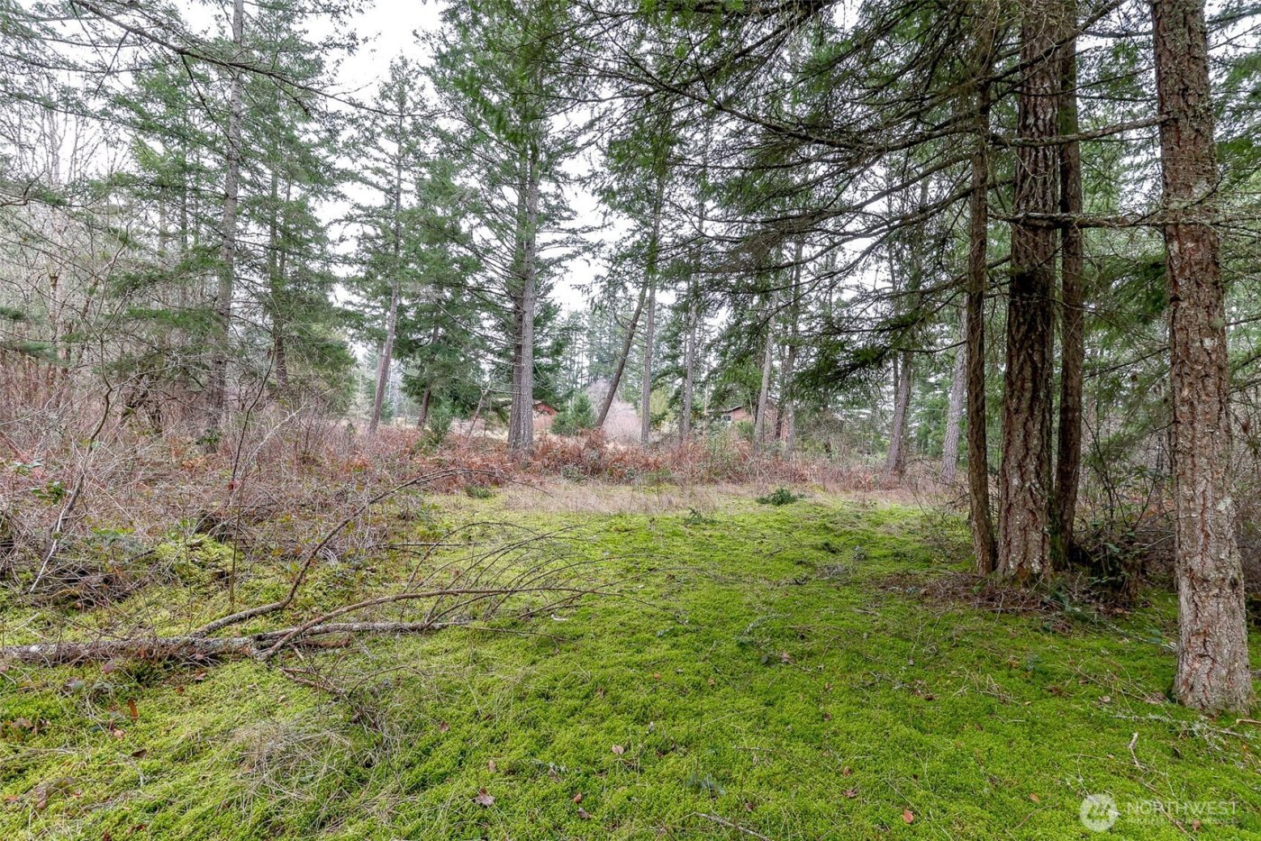 25414 48th Avenue E, Graham, WA 98338