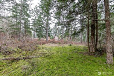 25414 48th Avenue E, Graham, WA 98338 - Photo 16