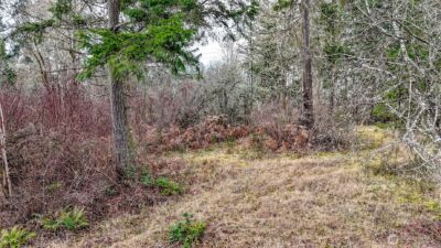 25414 48th Avenue E, Graham, WA 98338 - Photo 19