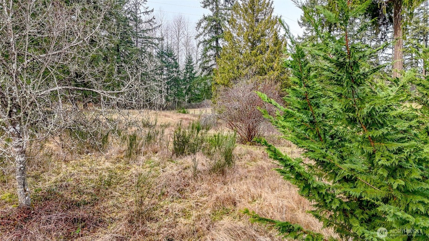 25414 48th Avenue E, Graham, WA 98338