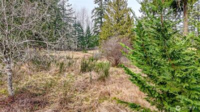 25414 48th Avenue E, Graham, WA 98338 - Photo 20