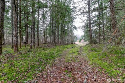 25414 48th Avenue E, Graham, WA 98338 - Photo 2