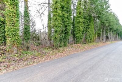 25414 48th Avenue E, Graham, WA 98338 - Photo 21