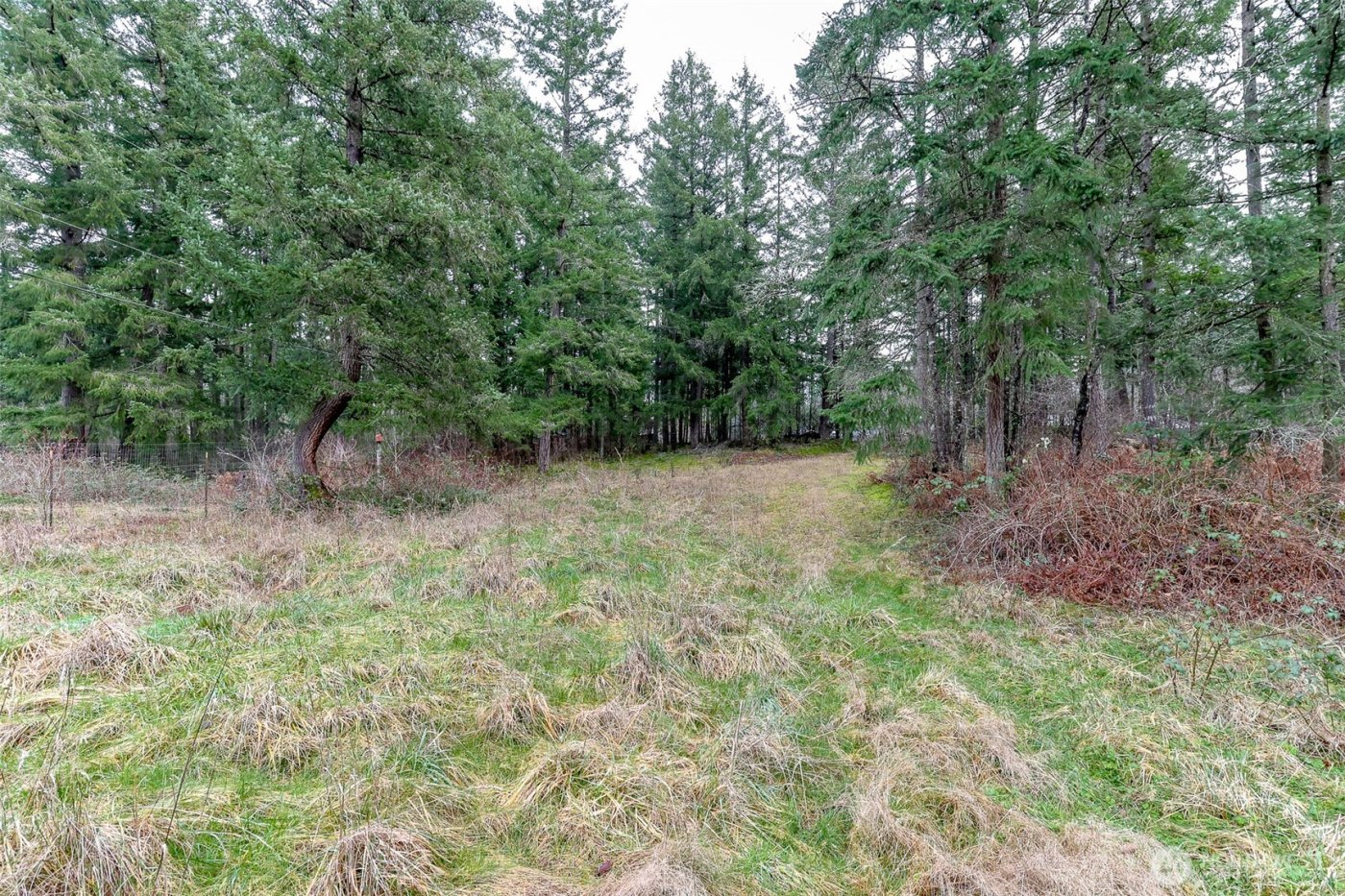 25414 48th Avenue E, Graham, WA 98338