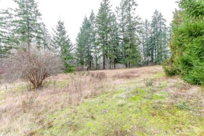 25414 48th Avenue E, Graham, WA 98338 - Photo 7