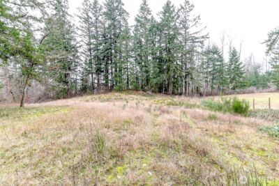 25414 48th Avenue E, Graham, WA 98338 - Photo 8