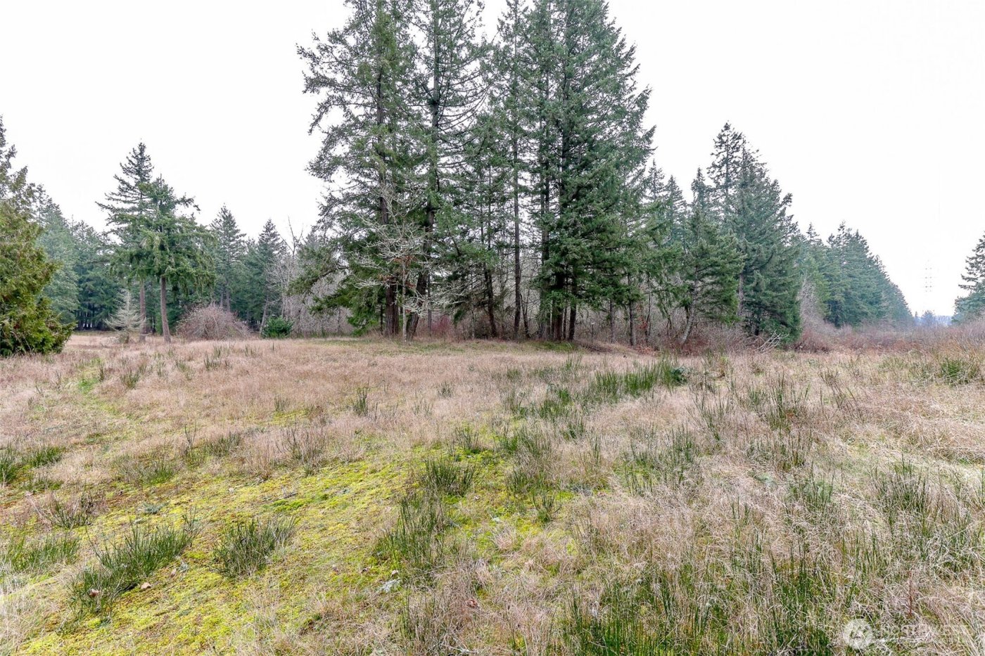 25414 48th Avenue E, Graham, WA 98338