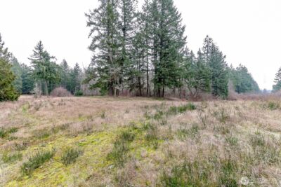 25414 48th Avenue E, Graham, WA 98338 - Photo 9