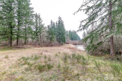 25414 48th Avenue E, Graham, WA 98338 - Photo 10