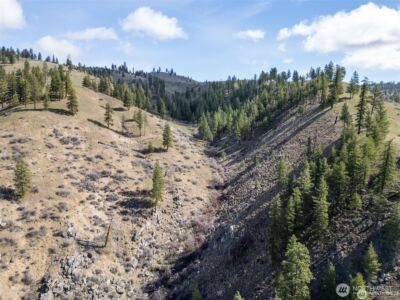 12 Mile Entiat River Road , Entiat, WA 98822 - Photo 14