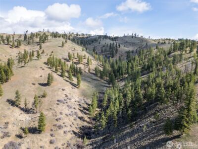 12 Mile Entiat River Road , Entiat, WA 98822 - Photo 15