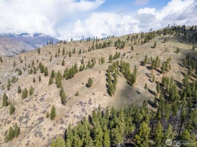 12 Mile Entiat River Road , Entiat, WA 98822 - Photo 16