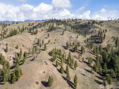 12 Mile Entiat River Road , Entiat, WA 98822 - Photo 20