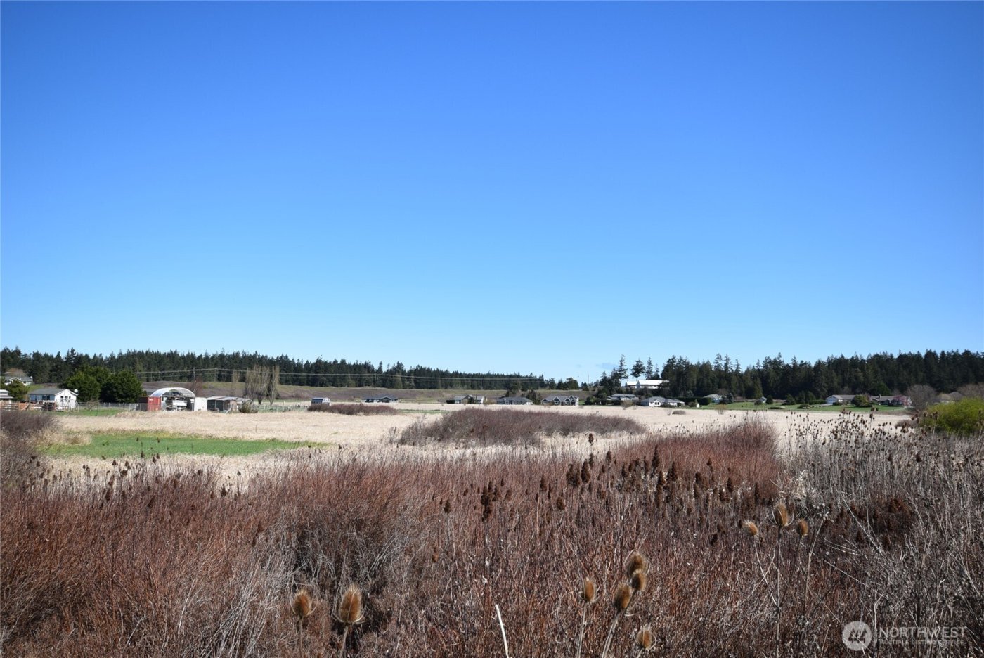 260 Secluded Way , Sequim, WA 98382