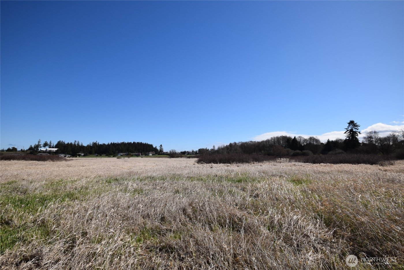 260 Secluded Way , Sequim, WA 98382