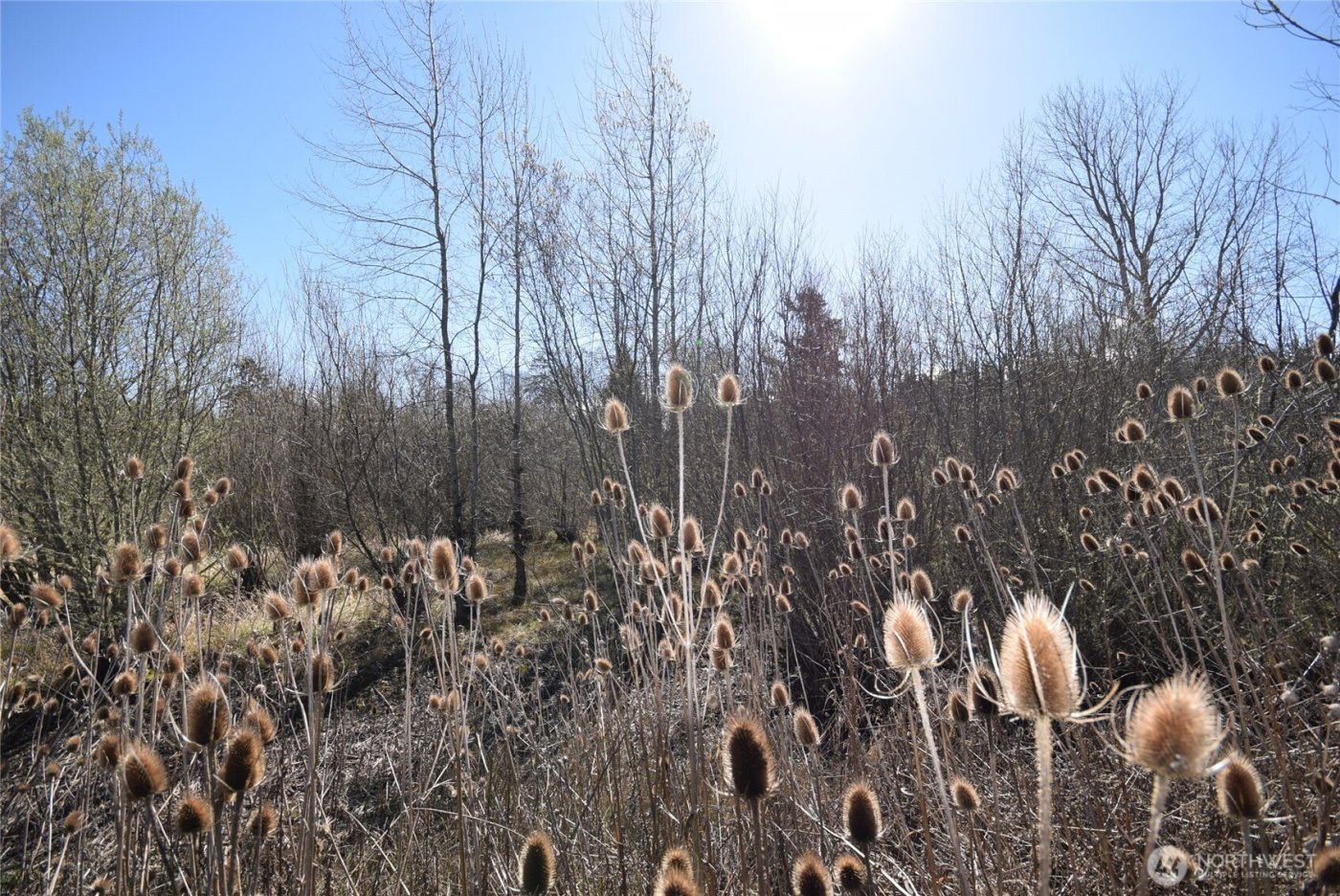 260 Secluded Way , Sequim, WA 98382