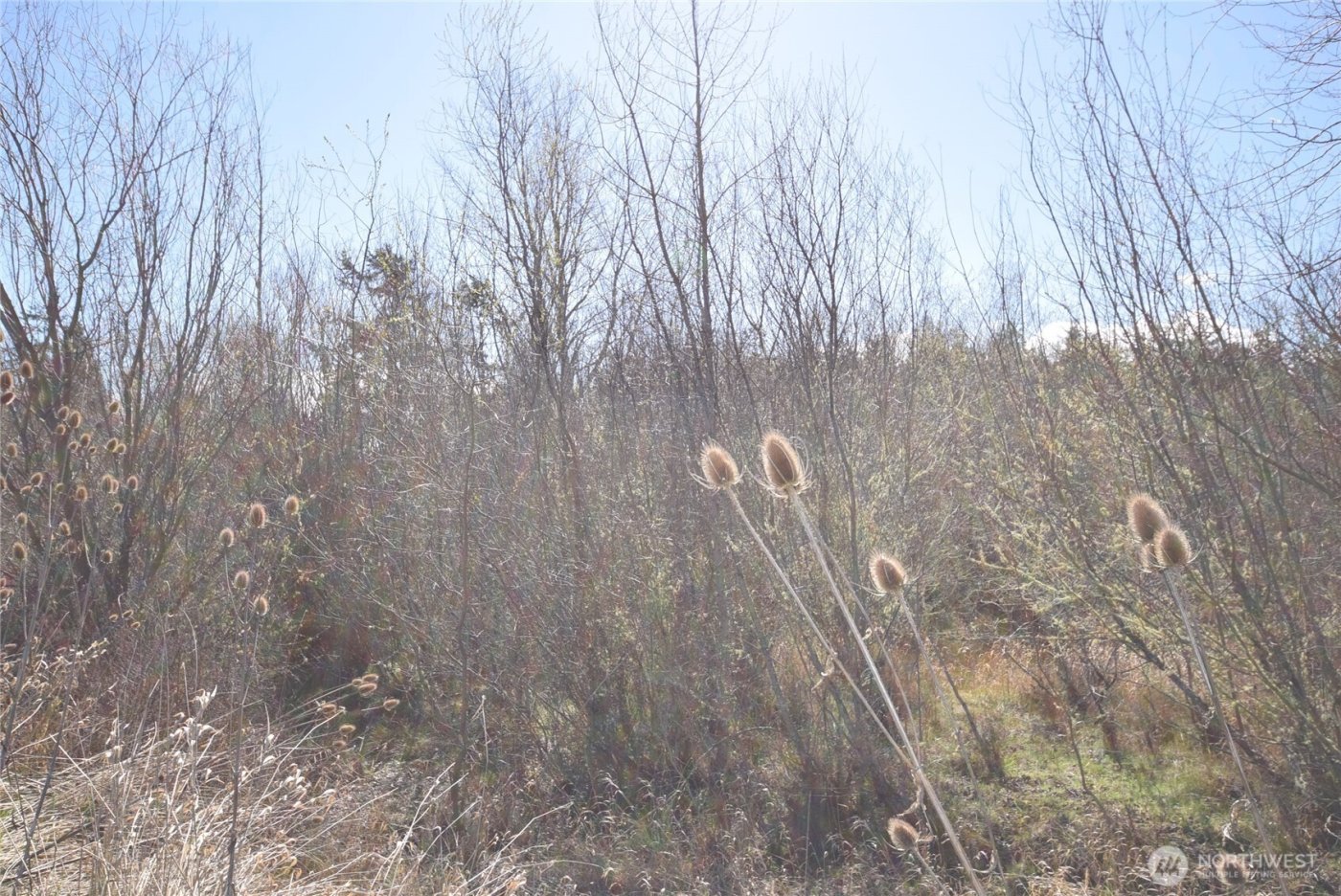 260 Secluded Way , Sequim, WA 98382