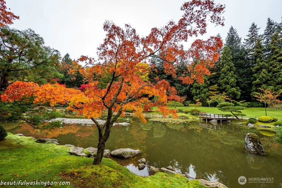 919 23rd Avenue E #A, Seattle, WA 98112-3550