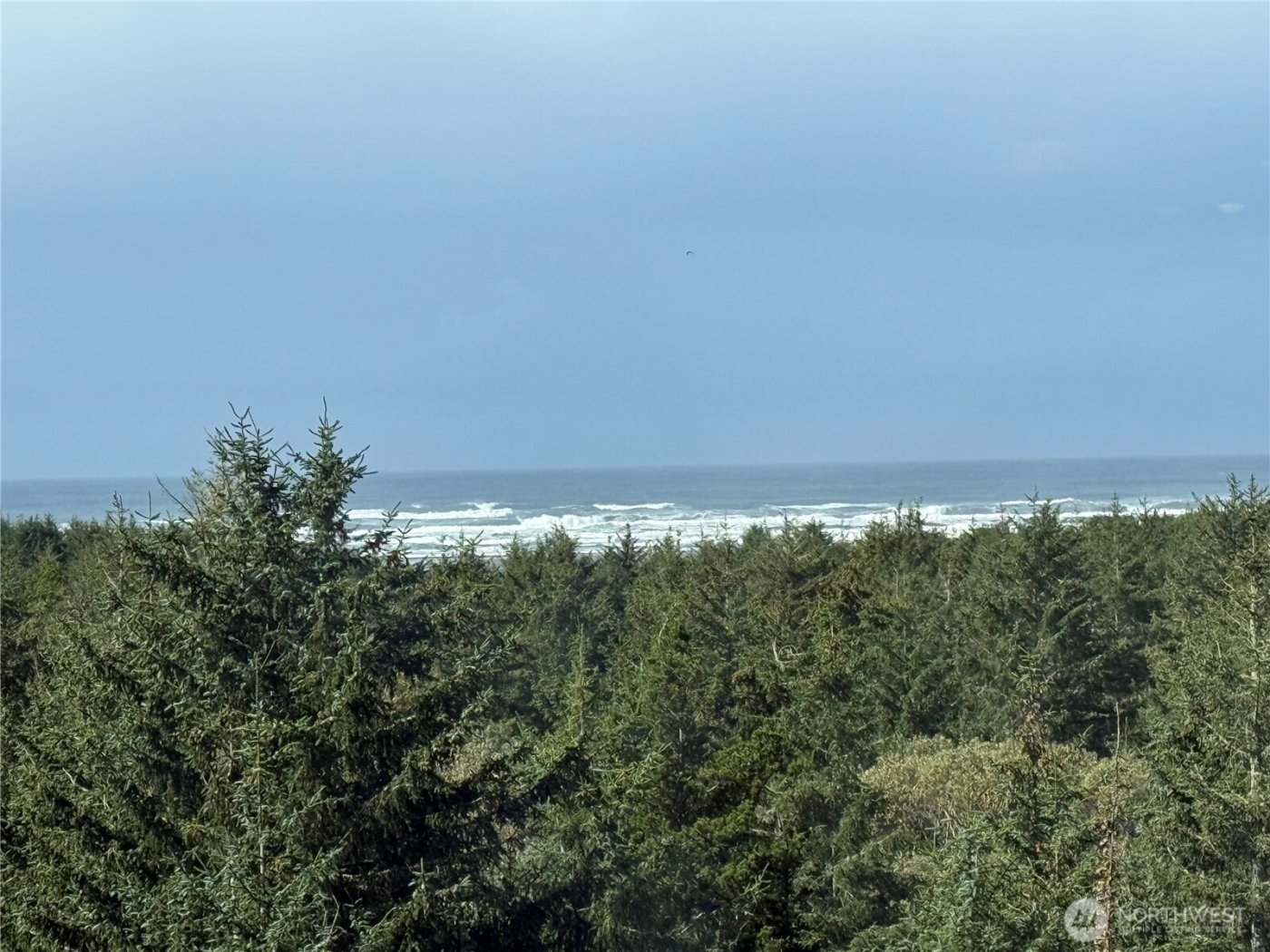2815 Willows Road #116, Seaview, WA 98644