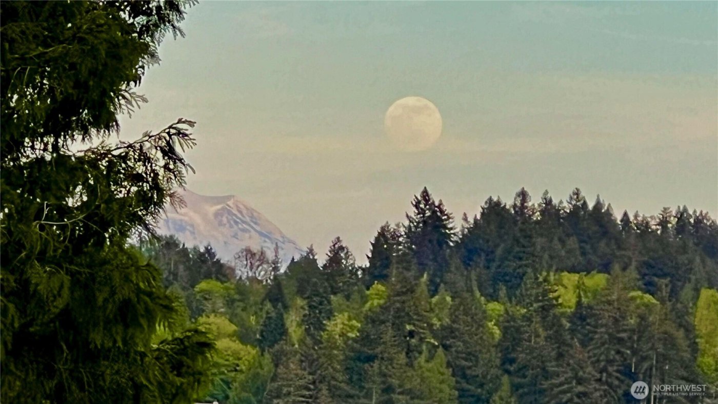 3236 Gravelly Beach Loop NW, Olympia, WA 98502