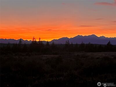 381 E Benson Ridge Road , Grapeview, WA 98546 - Photo 40