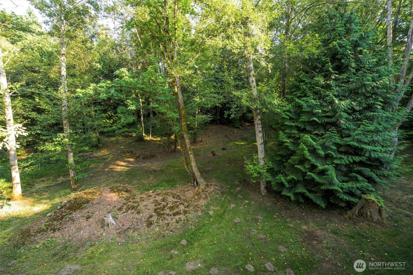 6241 Olson Road , Ferndale, WA 98248