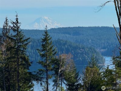 67 Devereaux Drive , Lilliwaup, WA 98555 - Photo 18