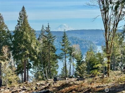 67 Devereaux Drive , Lilliwaup, WA 98555 - Photo 20