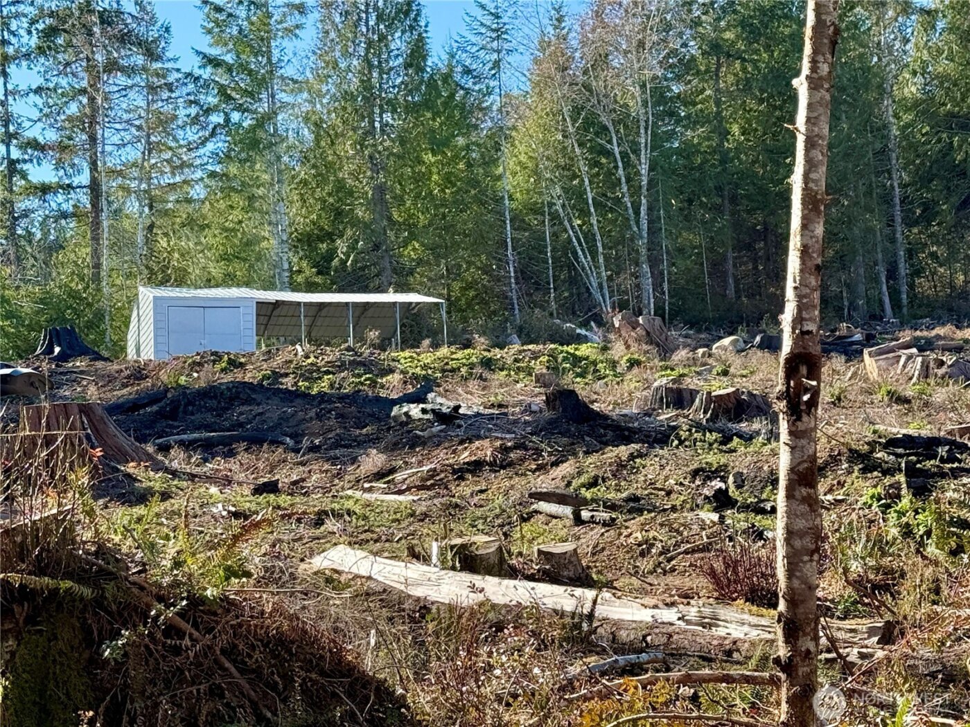 67 Devereaux Drive , Lilliwaup, WA 98555