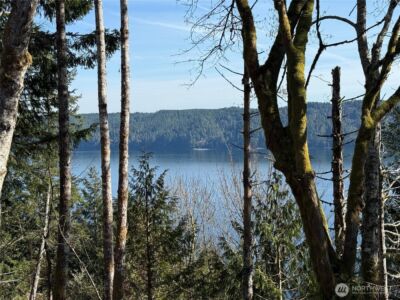 67 Devereaux Drive , Lilliwaup, WA 98555 - Photo 3