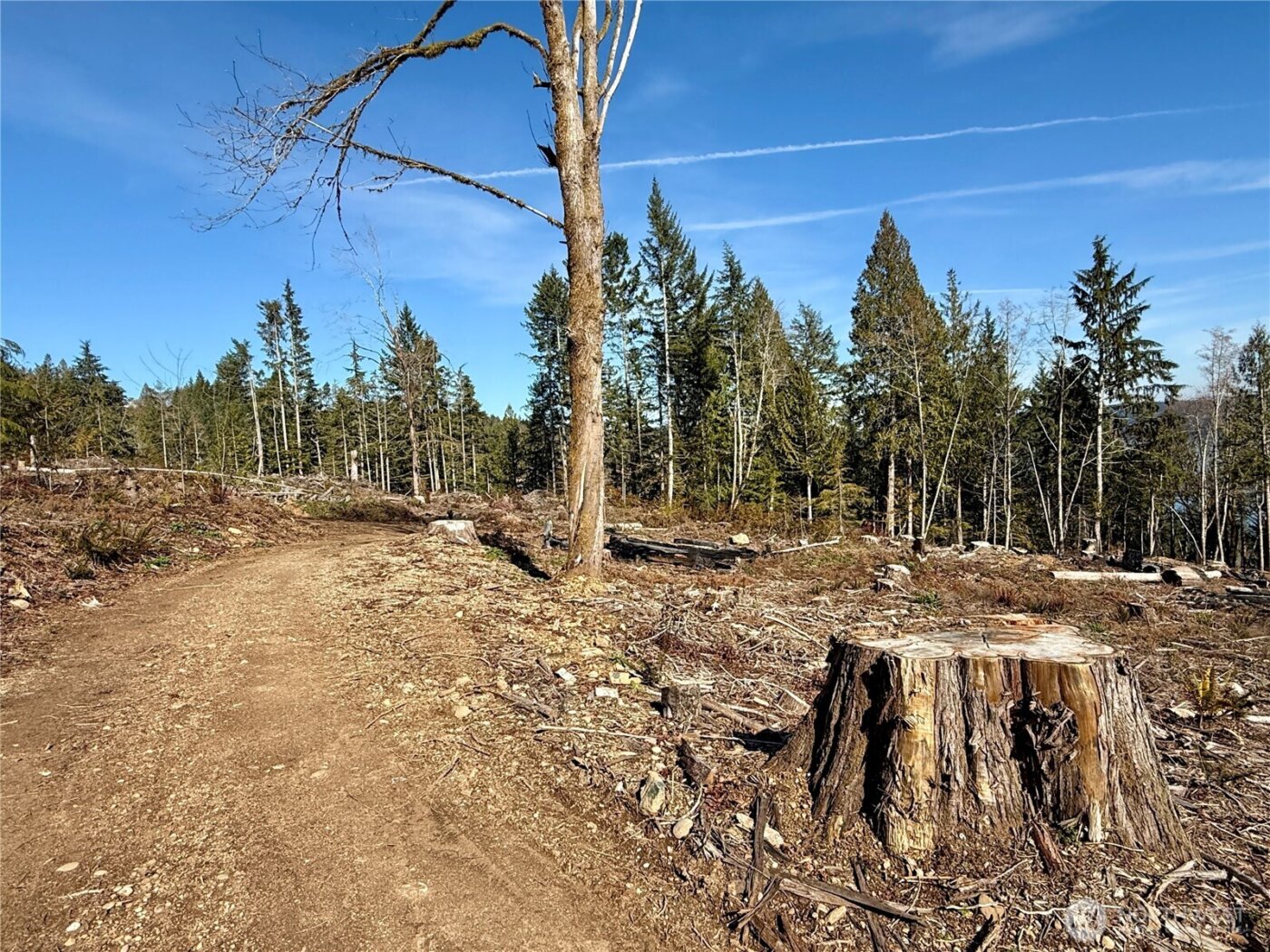 67 Devereaux Drive , Lilliwaup, WA 98555