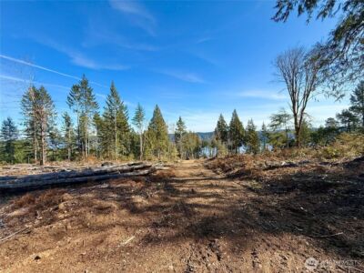 67 Devereaux Drive , Lilliwaup, WA 98555 - Photo 5