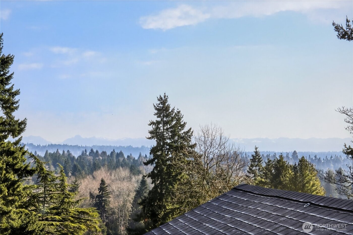 11738 23rd Avenue NE, Seattle, WA 98125