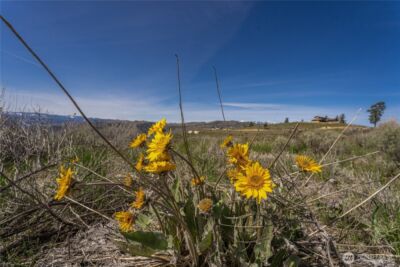 295 Hawks Ridge Road , Chelan, WA 98816 - Photo 8