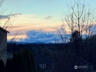 6629 Svea Court NE, Lacey, WA 98516-4521 - Photo 19