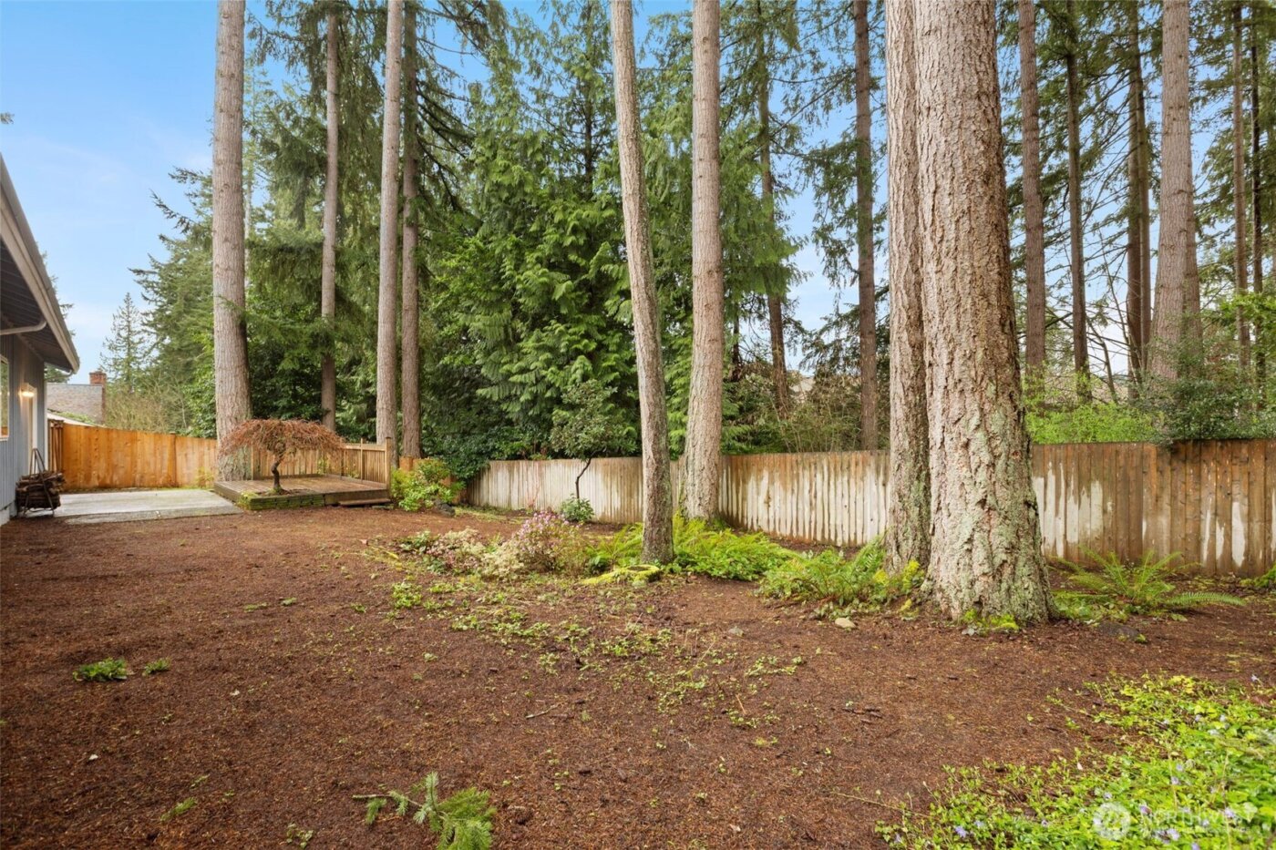 16007 SE 31st Street , Bellevue, WA 98008