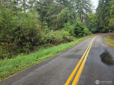 1581 E PHILLIPS LAKE LOOP Road , Shelton, WA 98584 - Photo 1