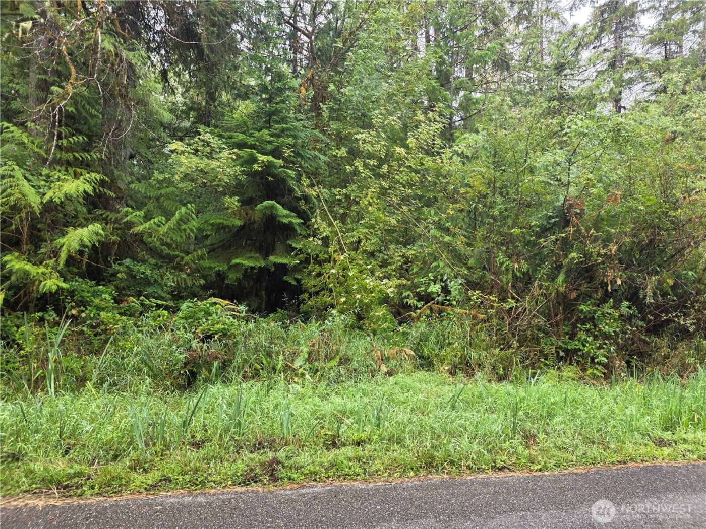 1581 E PHILLIPS LAKE LOOP Road , Shelton, WA 98584