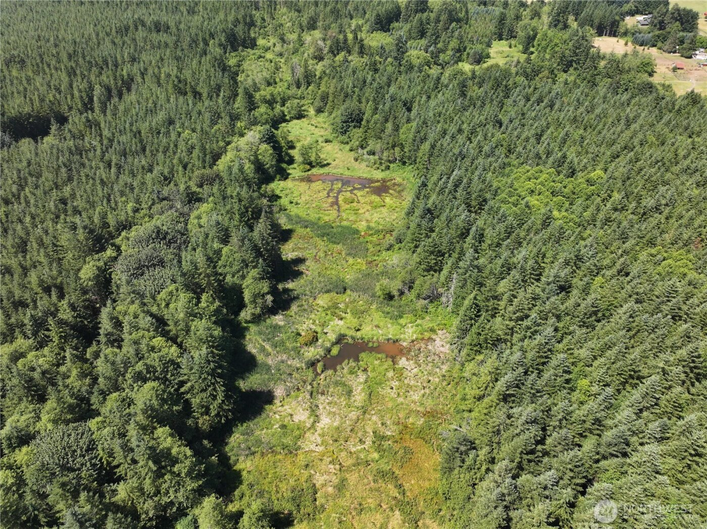 0 SR 508 , Onalaska, WA 98570