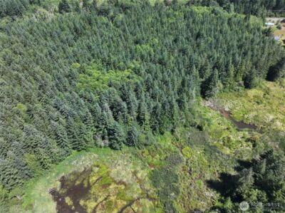 0 SR 508 , Onalaska, WA 98570 - Photo 14