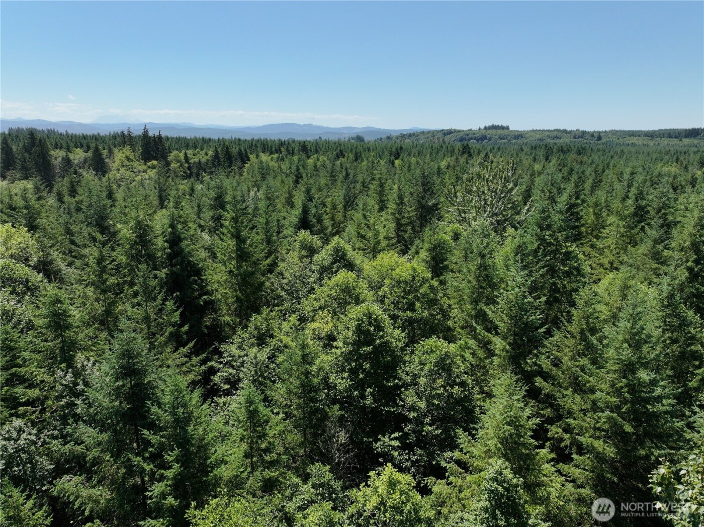 0 SR 508 , Onalaska, WA 98570